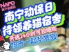我们的猫宿舍开通24小时投喂猫咪了！